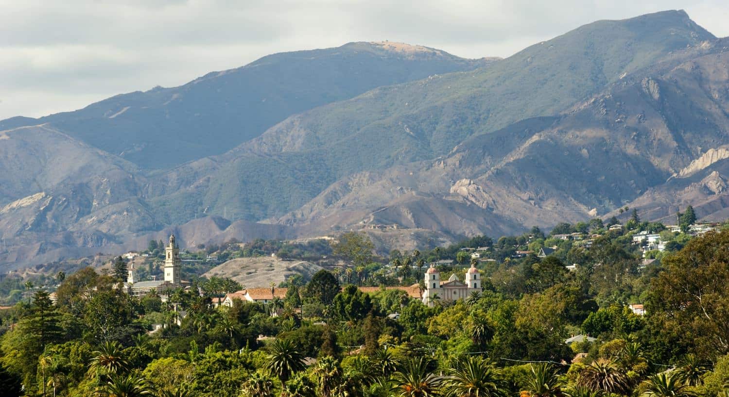 Aerial view of Santa Barbara with tops of buildings peeking through tree tops and mountains in background