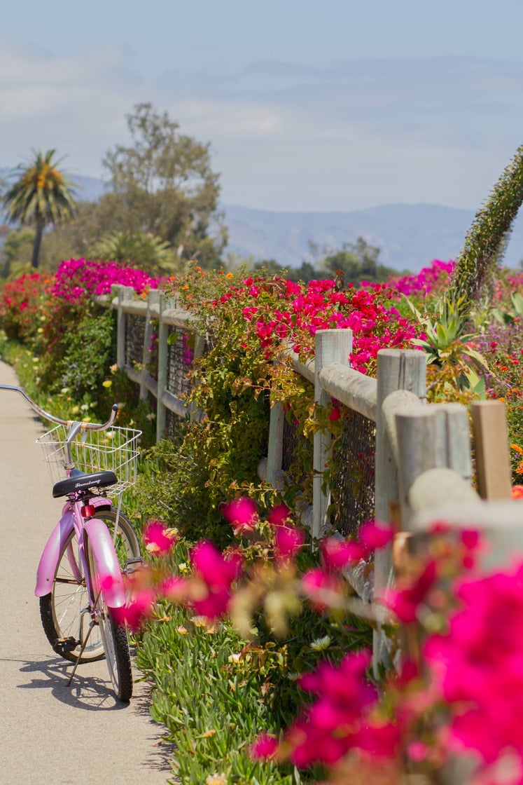 Take a Scenic Bike Tour of Santa Barbara CA