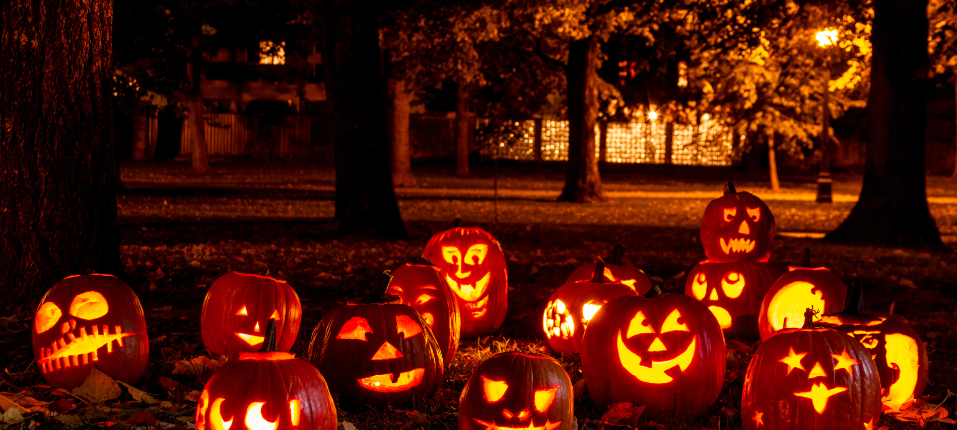 group of glowing carved pumpkins on the ground at night