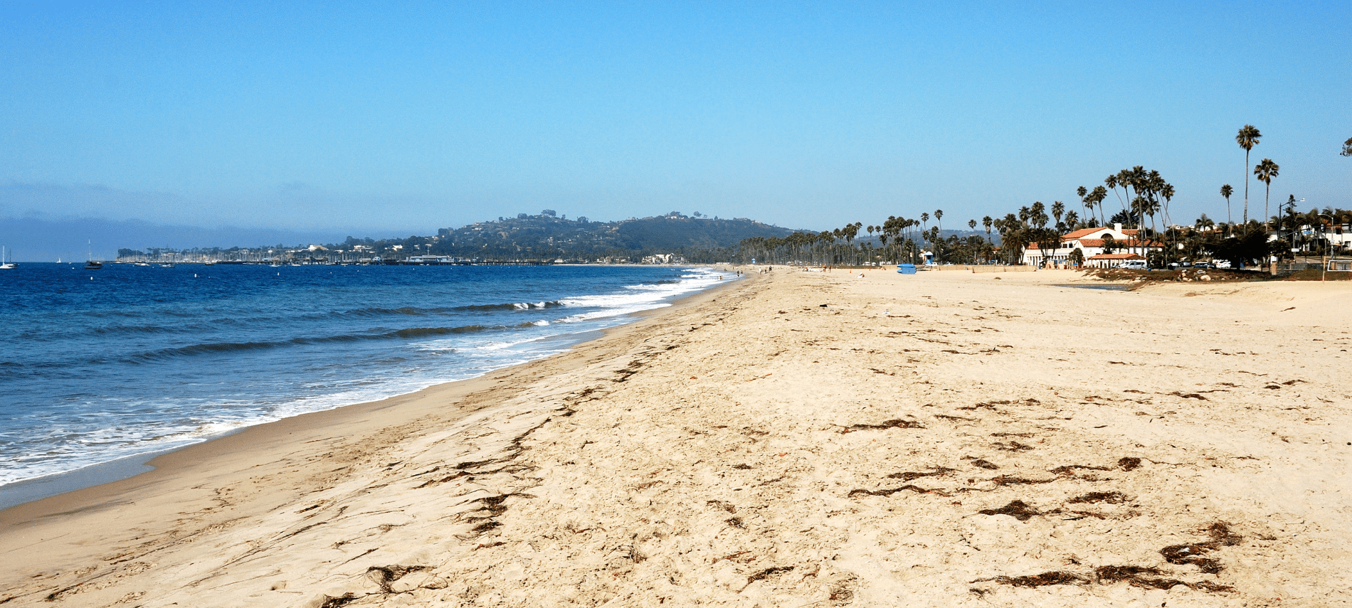 wide sandy beach in santa barbara with gentle waves and palm trees 