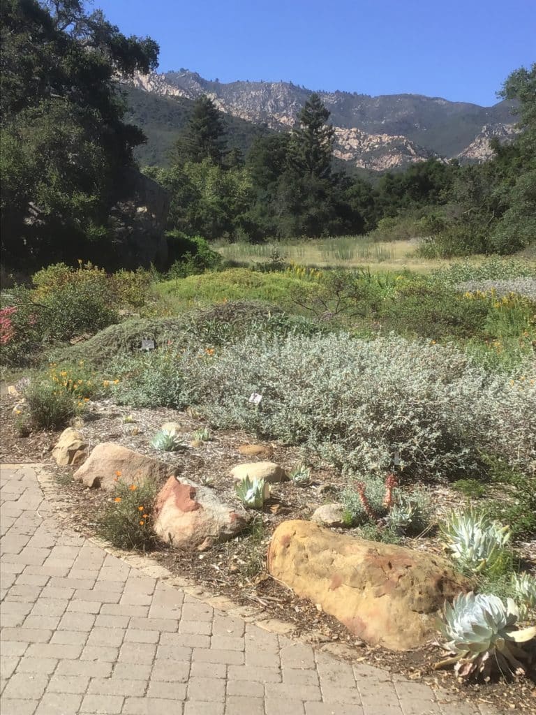 a brick path, with white rocks at edge, a green meadow and mountains far away with a blue sky