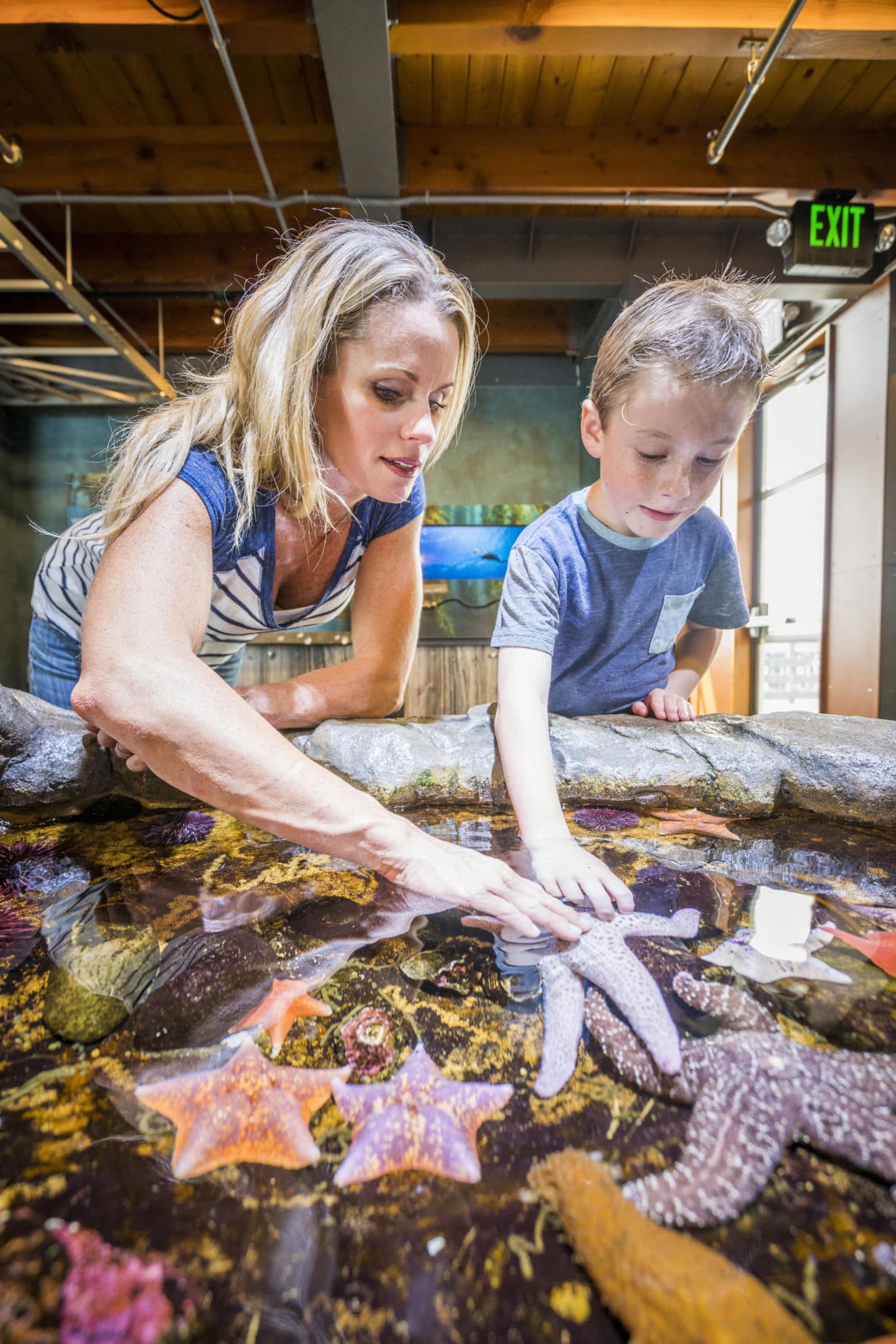 Mother and son reaching into an indoor water exhibit touching starfish