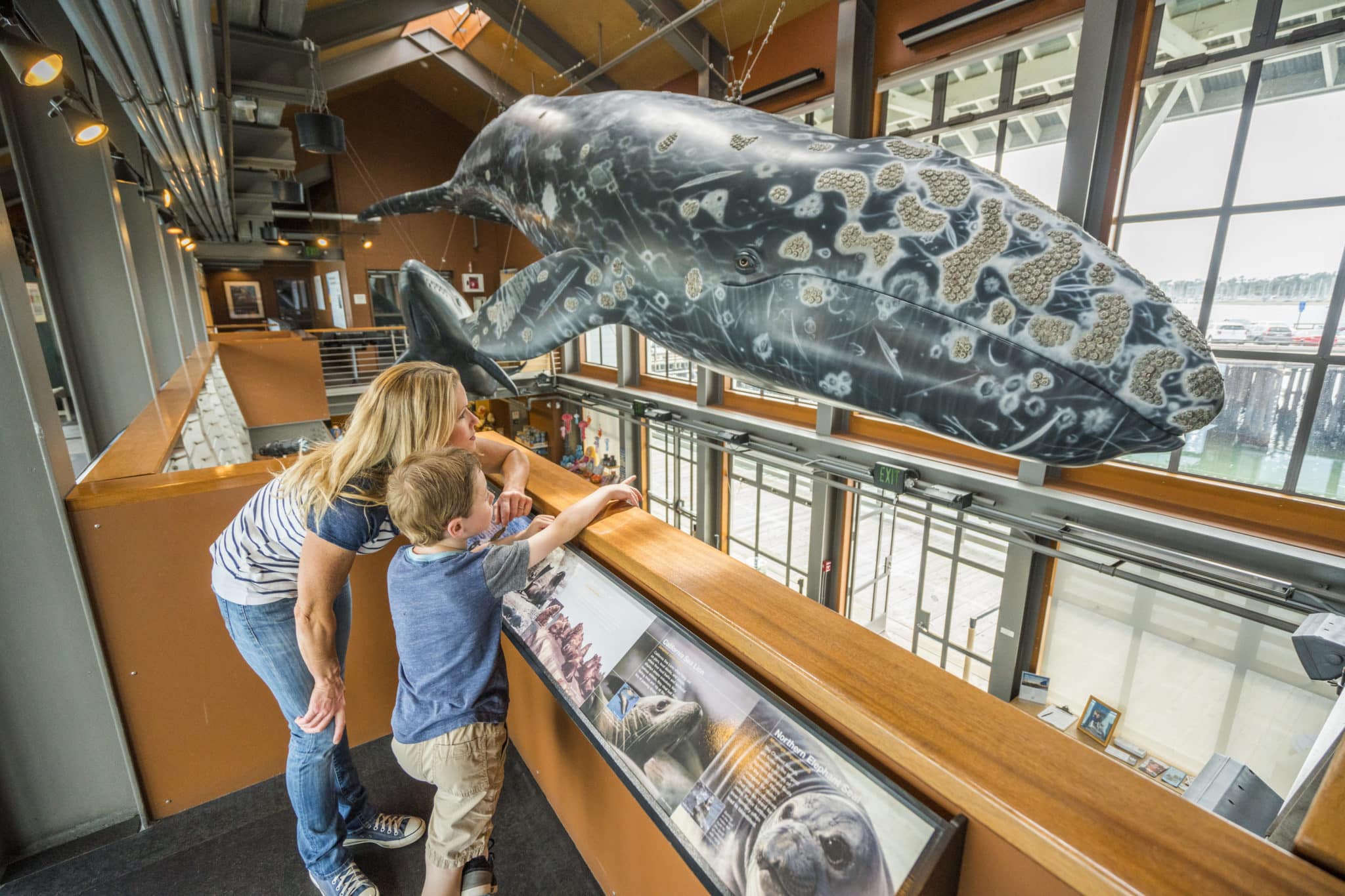 Explore the Santa Barbara Museum of Natural History