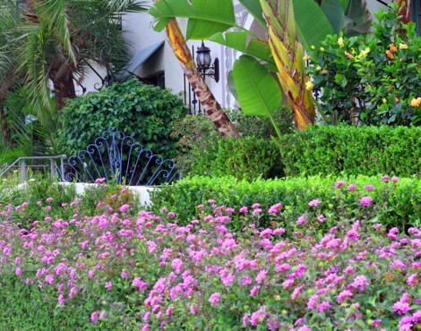 Rows of green shrubs and colorful flowers