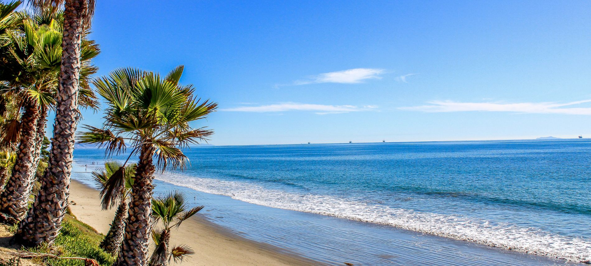 Waves lapping the shore next to palm trees at Butterfly Beach.