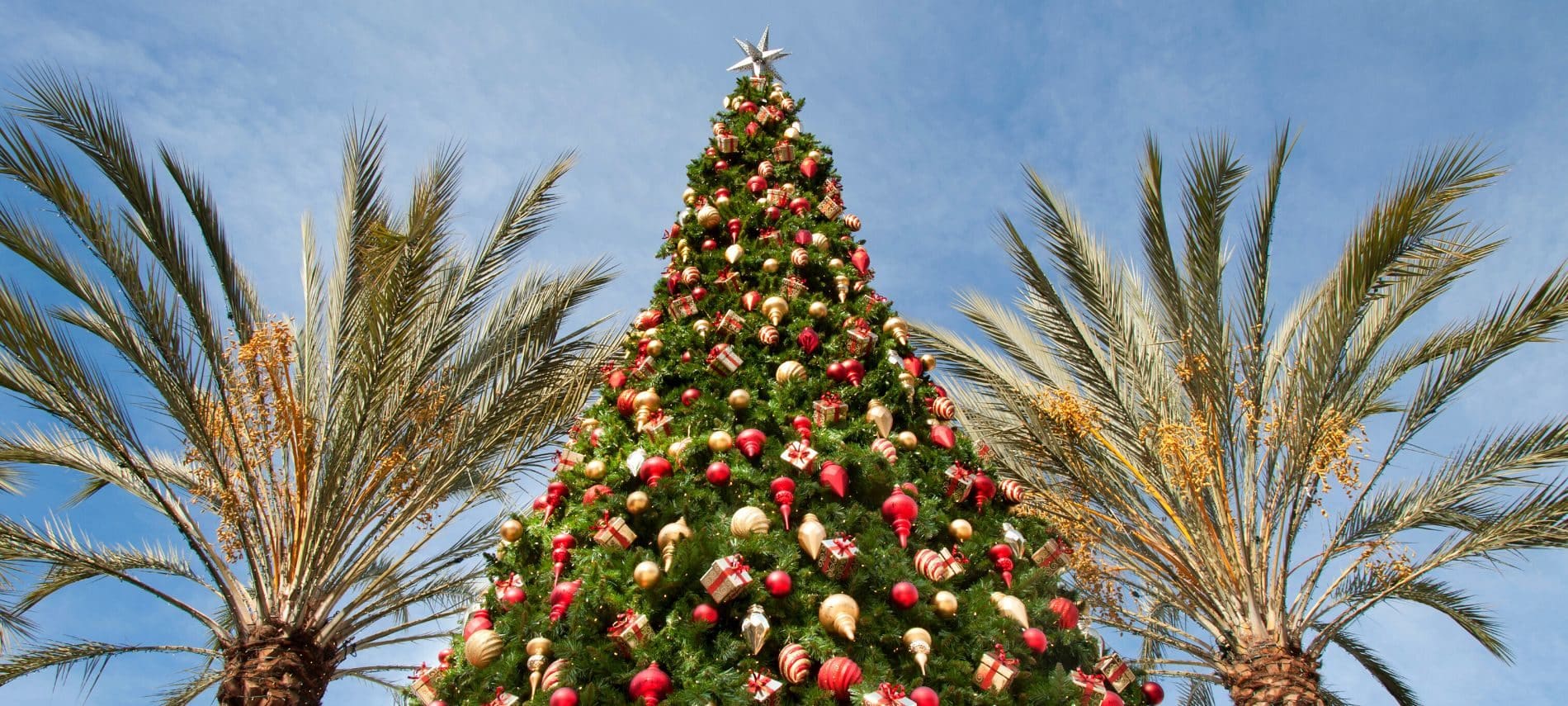 A towering Christmas tree decorated with ornaments in between two palm trees