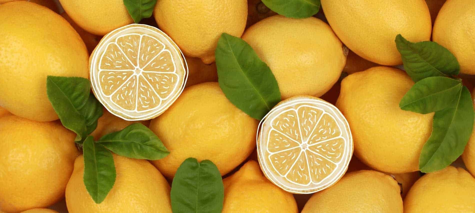 Two slices of lemon atop full lemons and leaves.