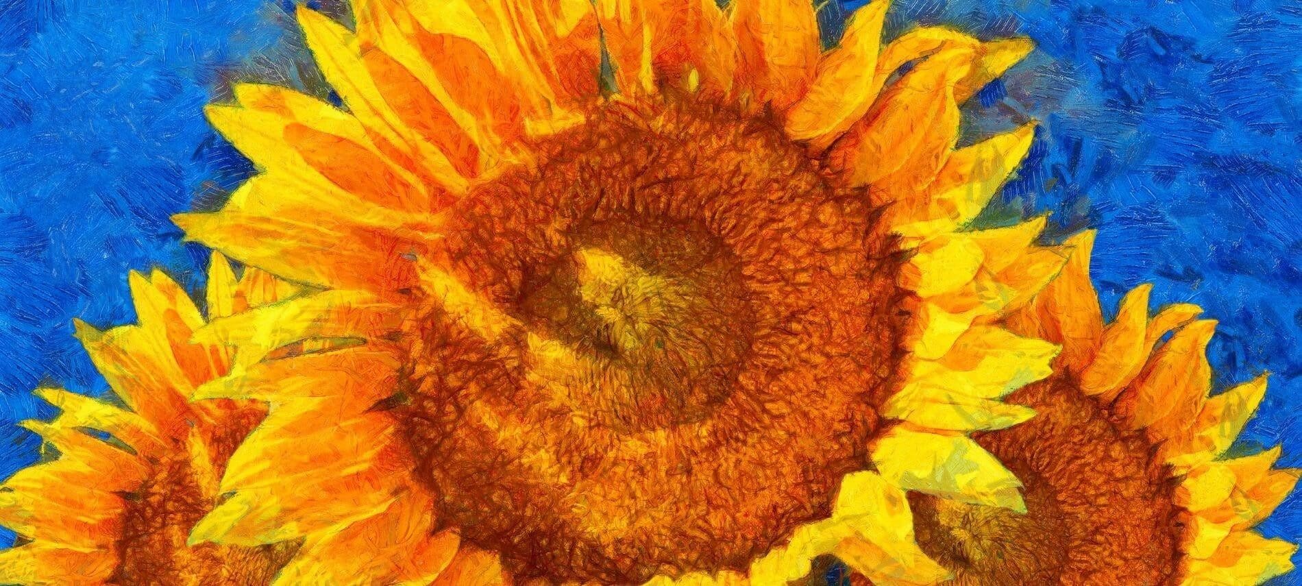 Closeup of Van Gogh’s Sunflowers