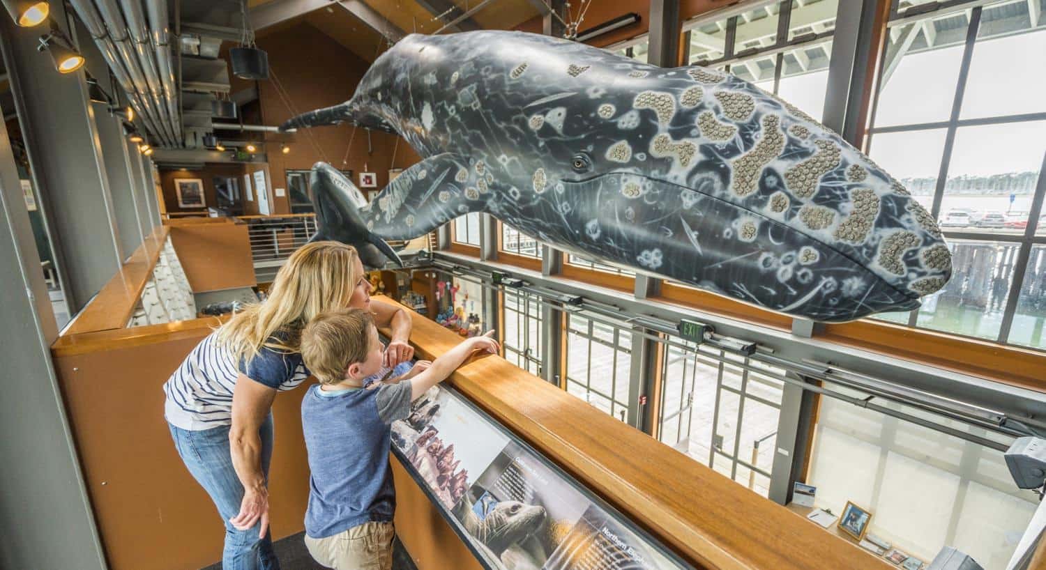 Mother and young son looking at a whale hanging from the ceiling at a museum