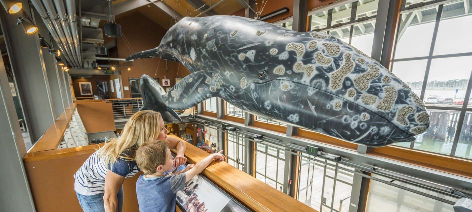 Mother and her young son looking a whale hanging from a ceiling at a museum