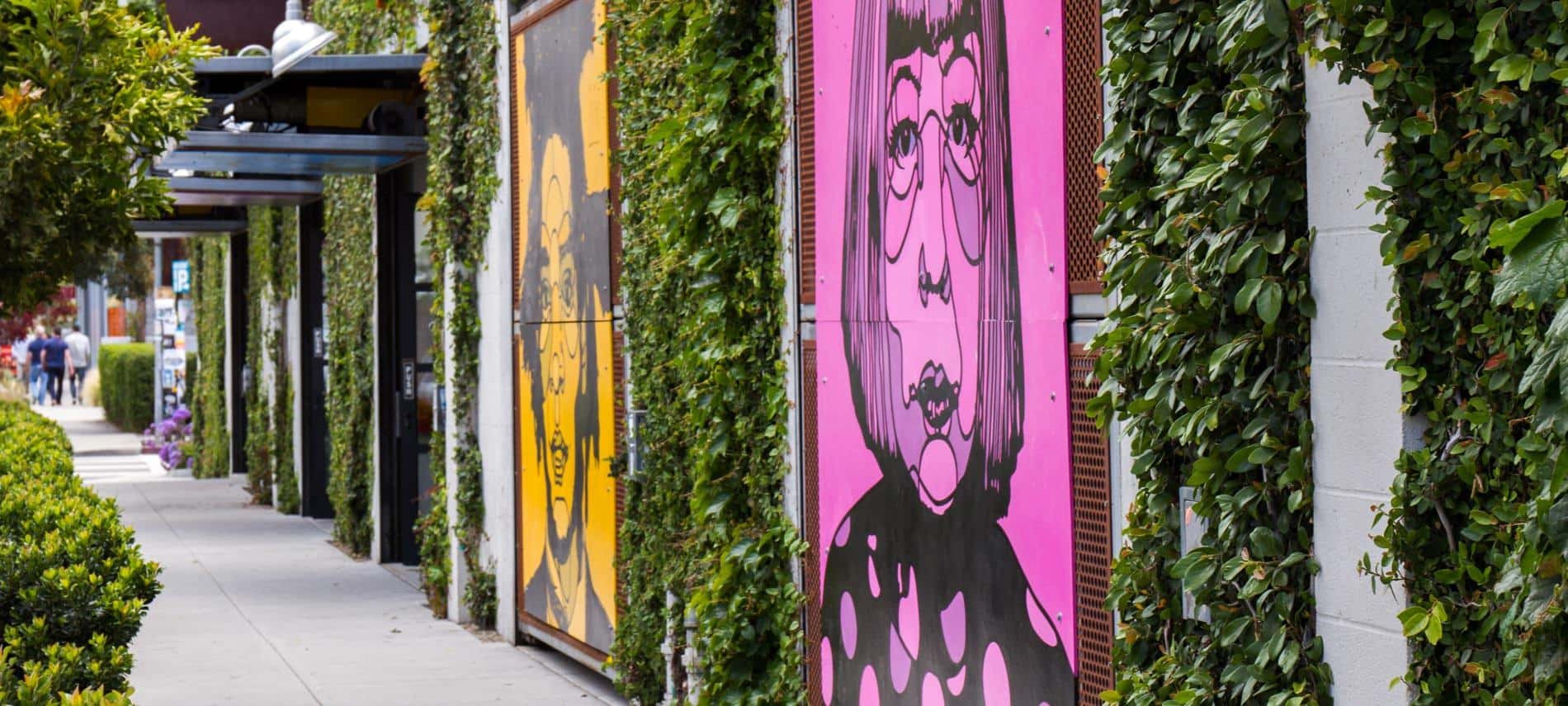 Santa Barbaba sidewalk with colorful drawings on the walls alternating with climbing green vines