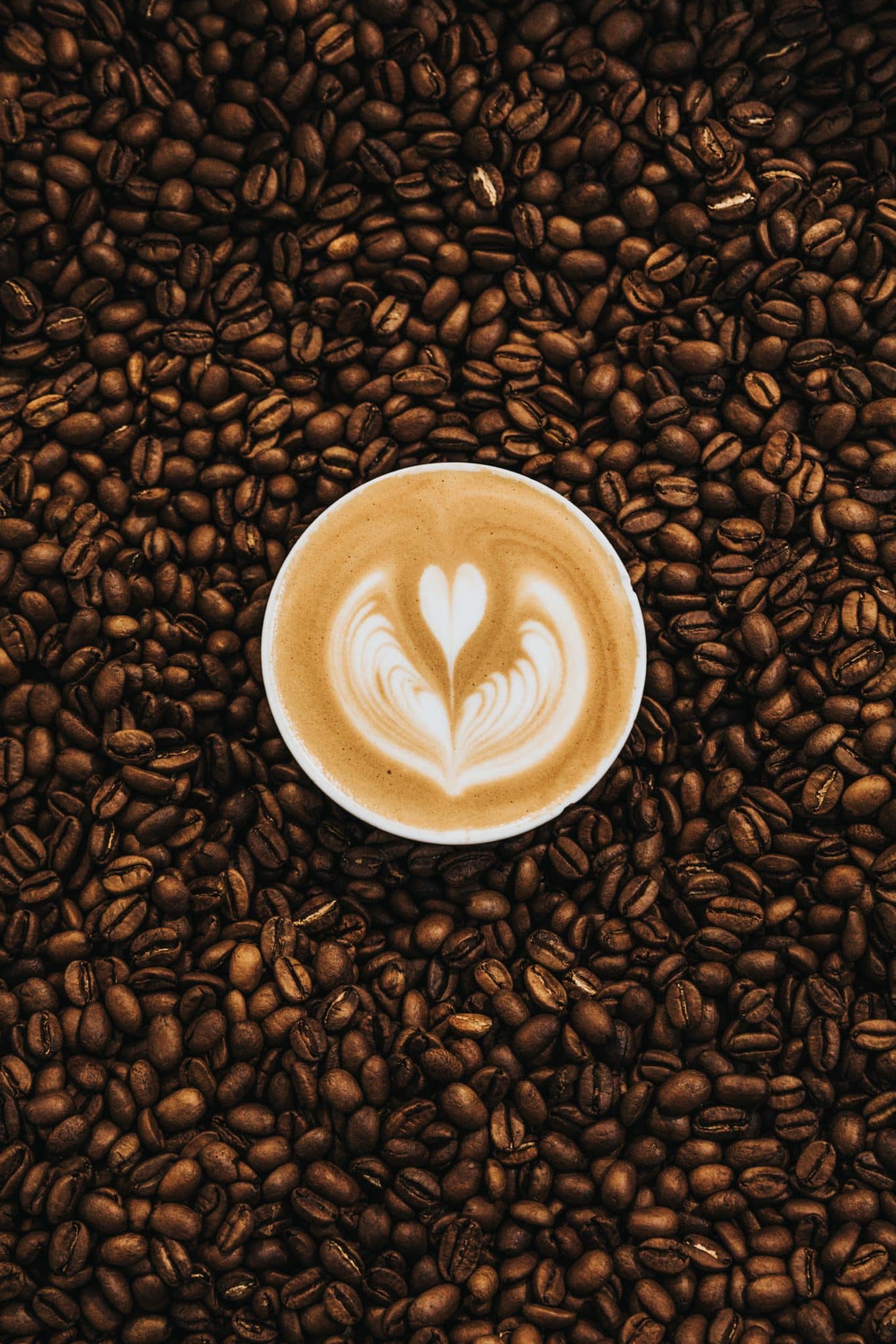 Cup of cappuccino sitting in a large pile of roasted coffee beans