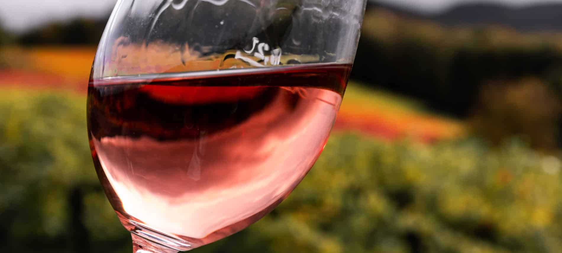 person holding clear wine glass with red wine and vineyard in distance