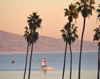 A few sailboats in the Pacific Ocean with palm trees in the foreground and mountains in the background