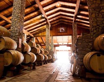 Wood vaulted room with stone pillars and stone floor, filled with oak wine barrels