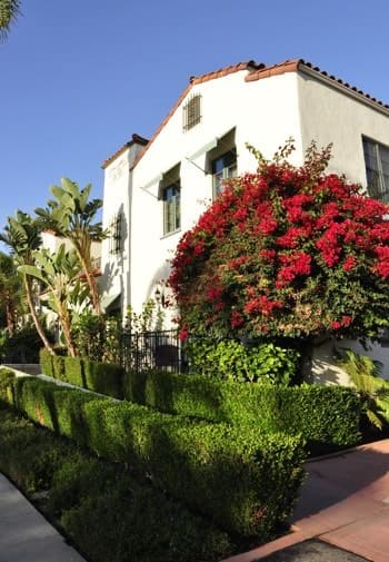 Exterior view of Eagle Inn, ivory stucco, red tile roof, pruned green shrubs, palm trees and red flowering tree