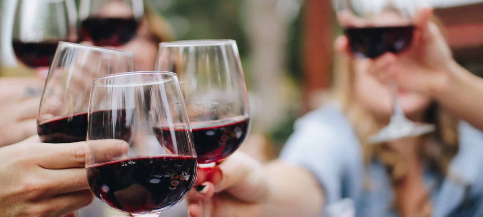 Group of people toasting wine glasses